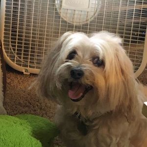 Meet your Posher, Michelle